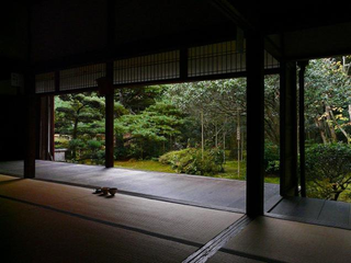 Illustration for article titled Bad Tourists Lead to Photography Ban at Japanese Temples